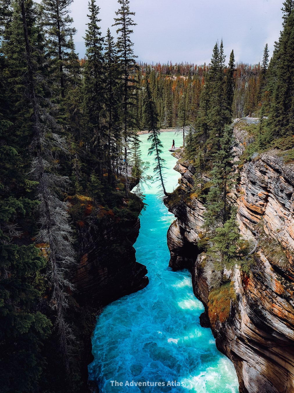 Athabasca Falls is one of the best places on the Icefields Parkway from Banff to Jasper