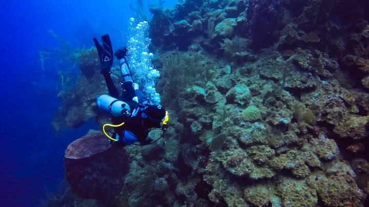 Diving the Great Blue Hole: What It's Really Like - The Adventures Atlas