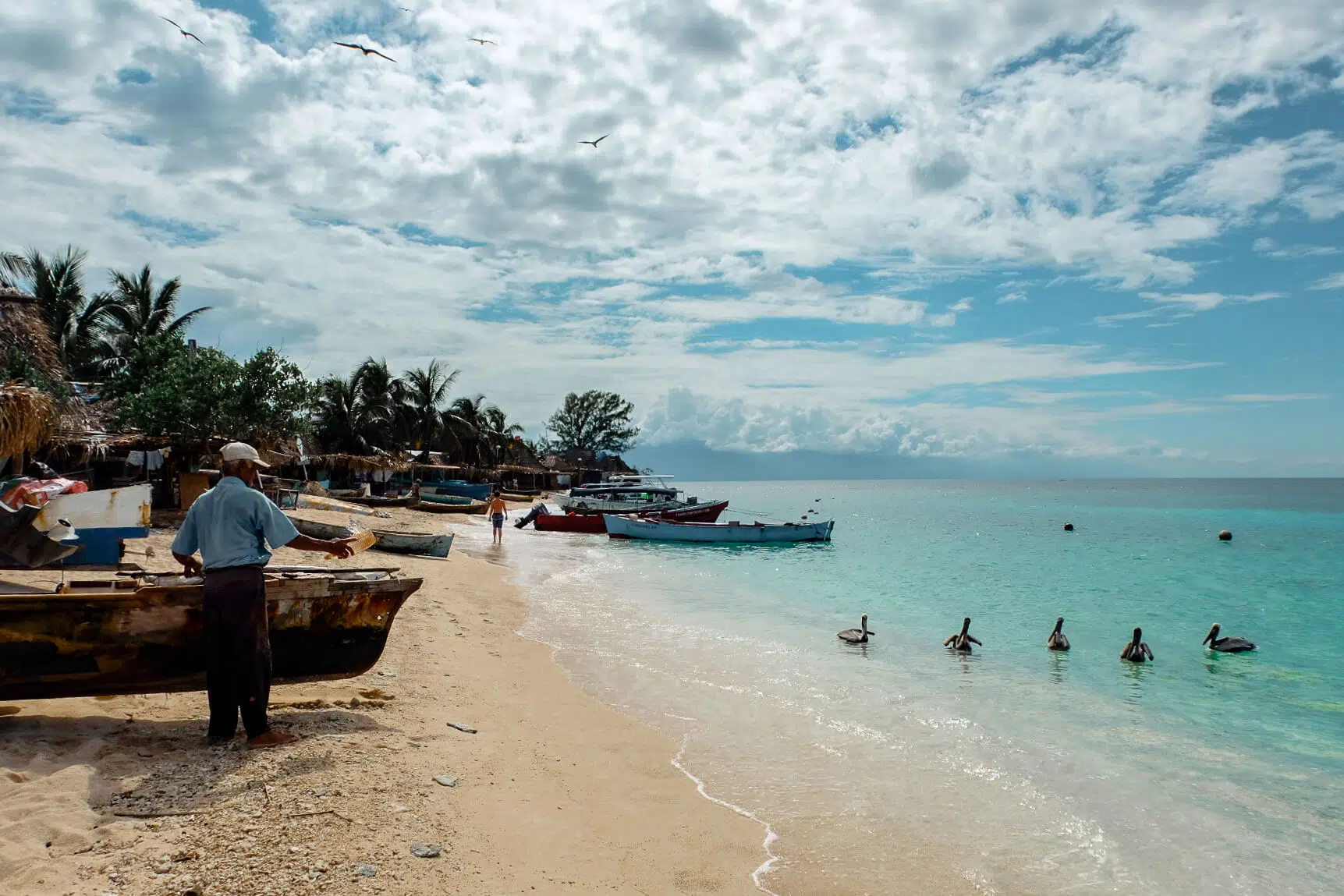 Garifuna fisherman looks at group of pelicans from the shore of Chachahuate Cay