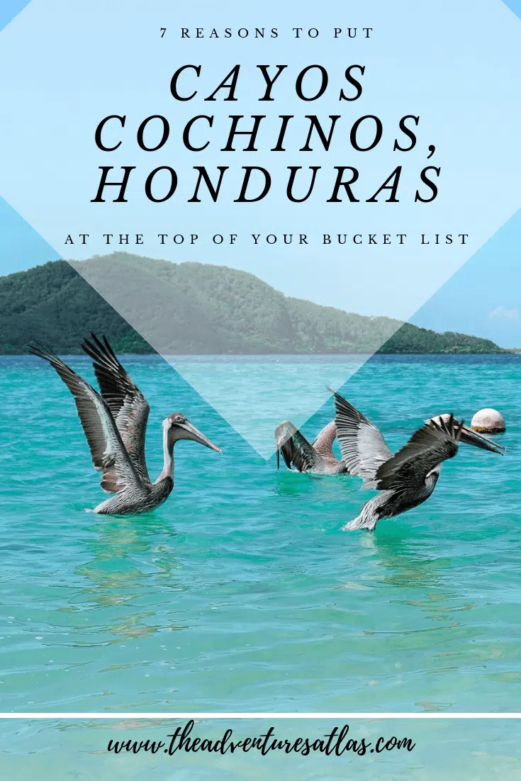 Best things to do in Cayos Cochinos, Honduras