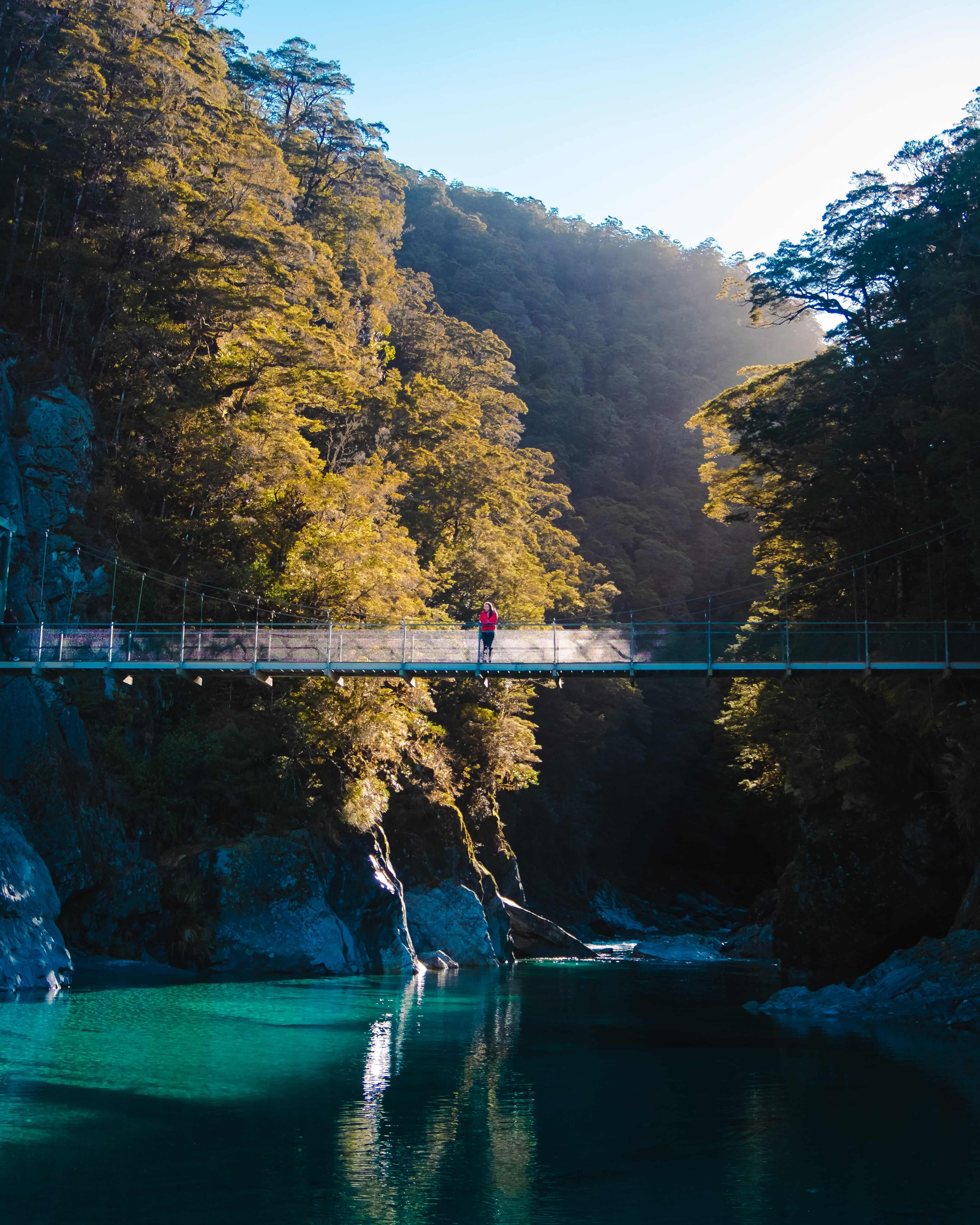 Why Spring is the Best Time to Visit New Zealand The Adventures Atlas