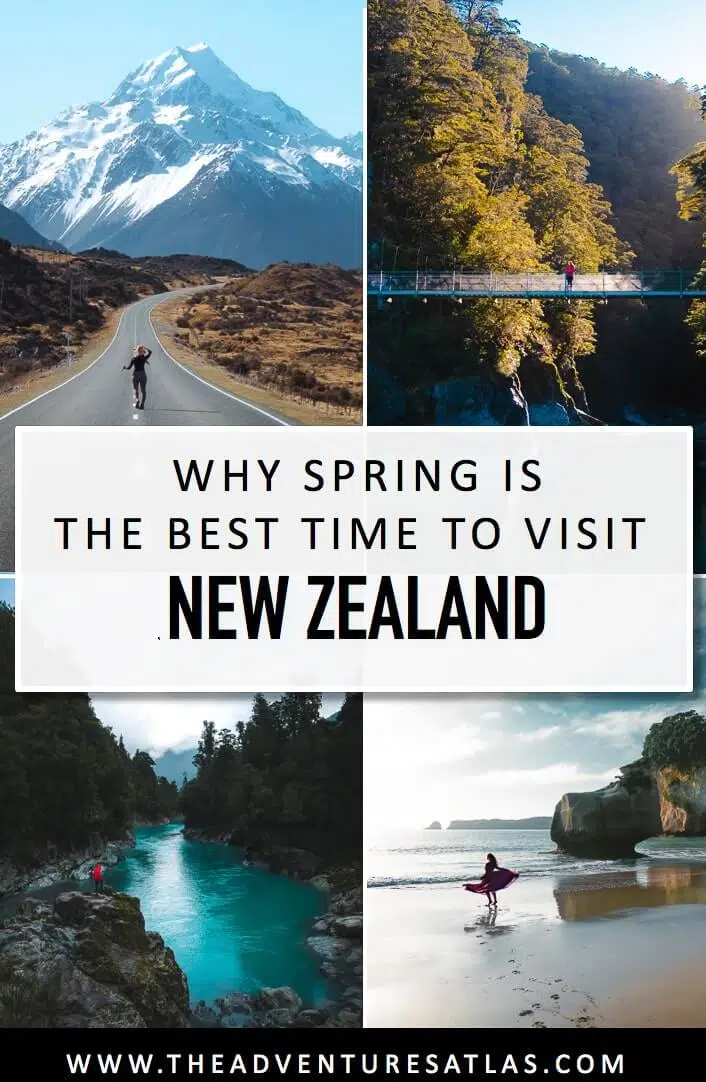 Why Spring is the Best Time to Visit New Zealand
