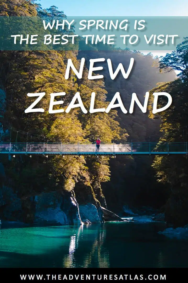 Why Spring is the Best Time To Visit New Zealand
