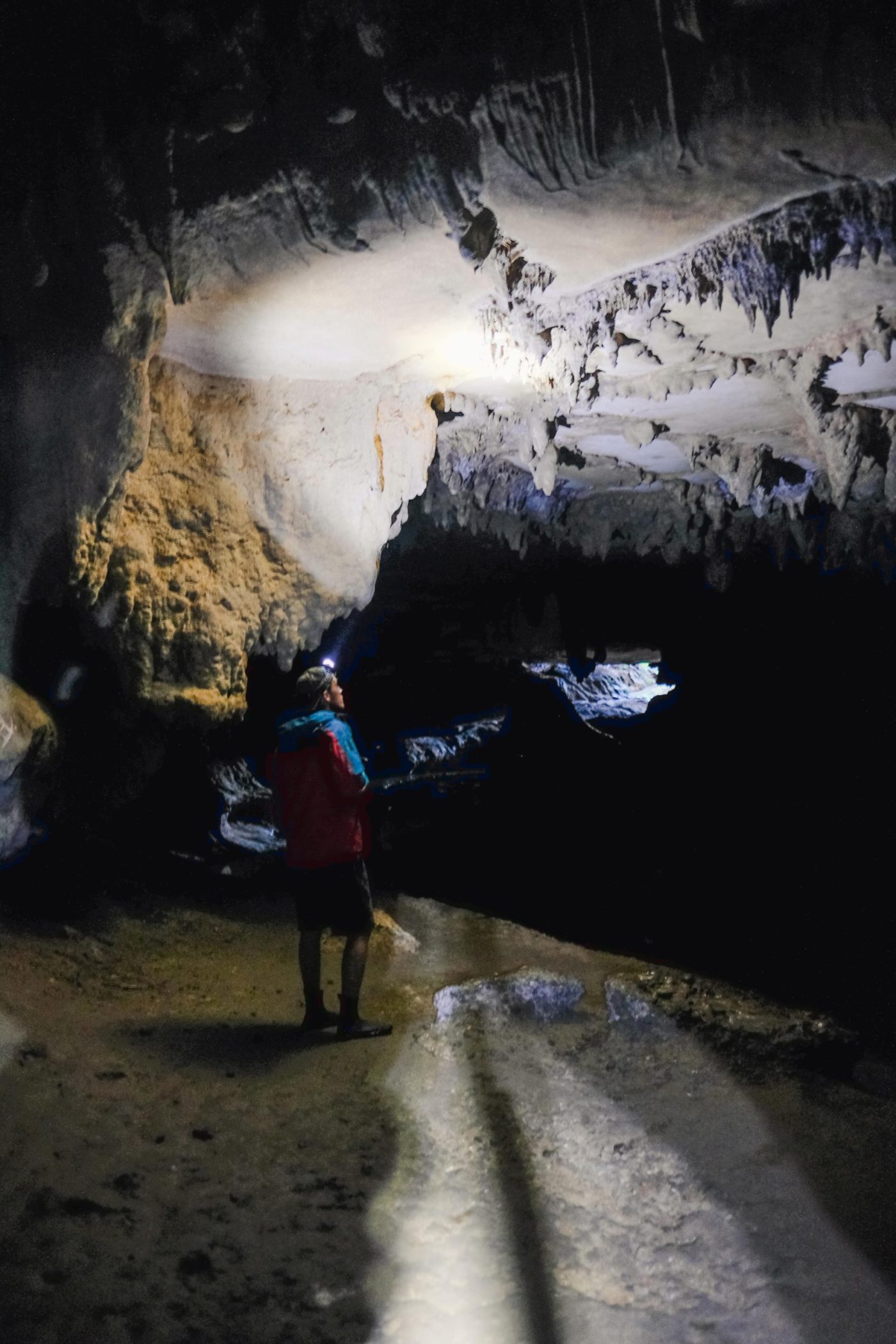 Exploring Waipu Caves, NZ North Island