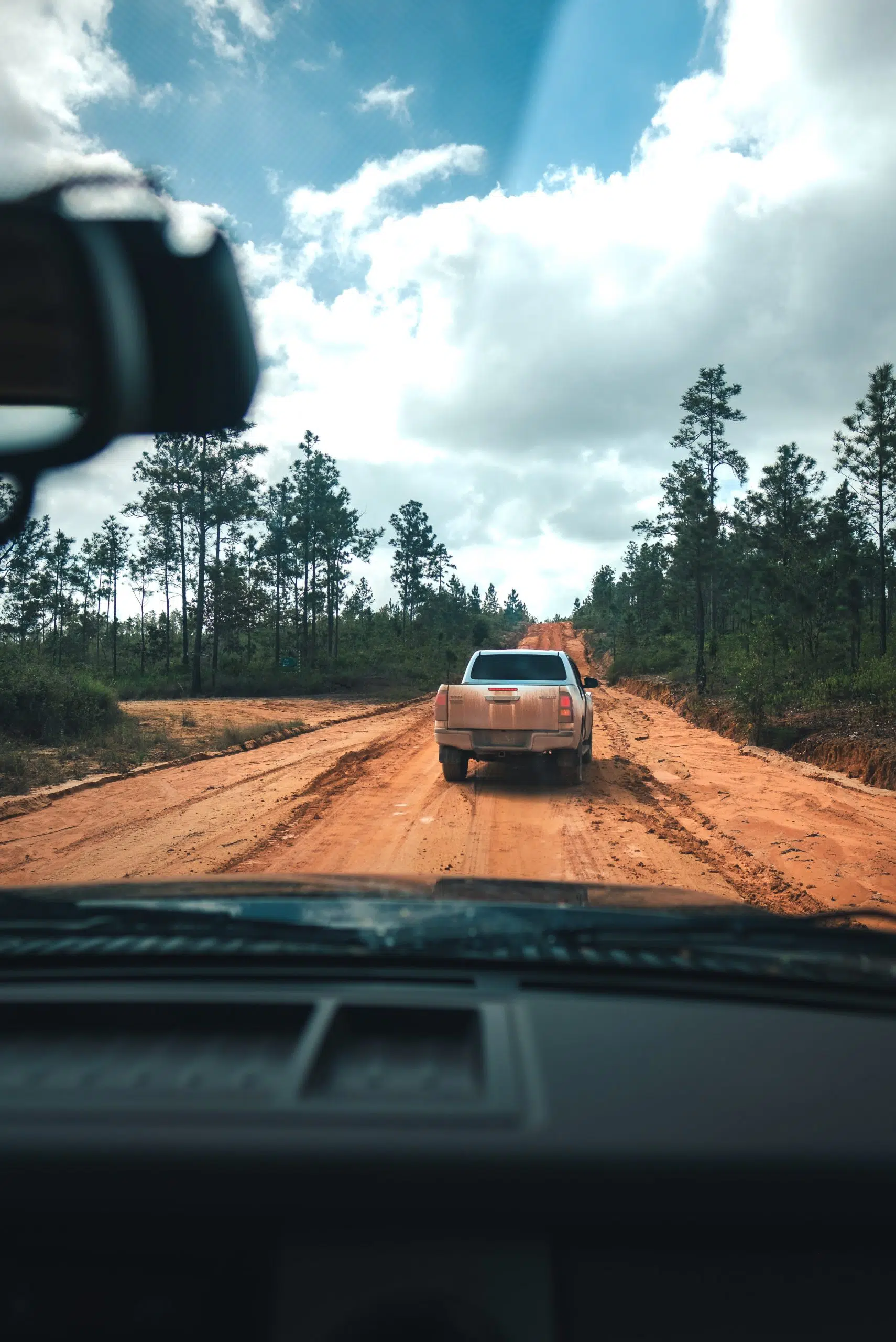 Muddy road in the jungle