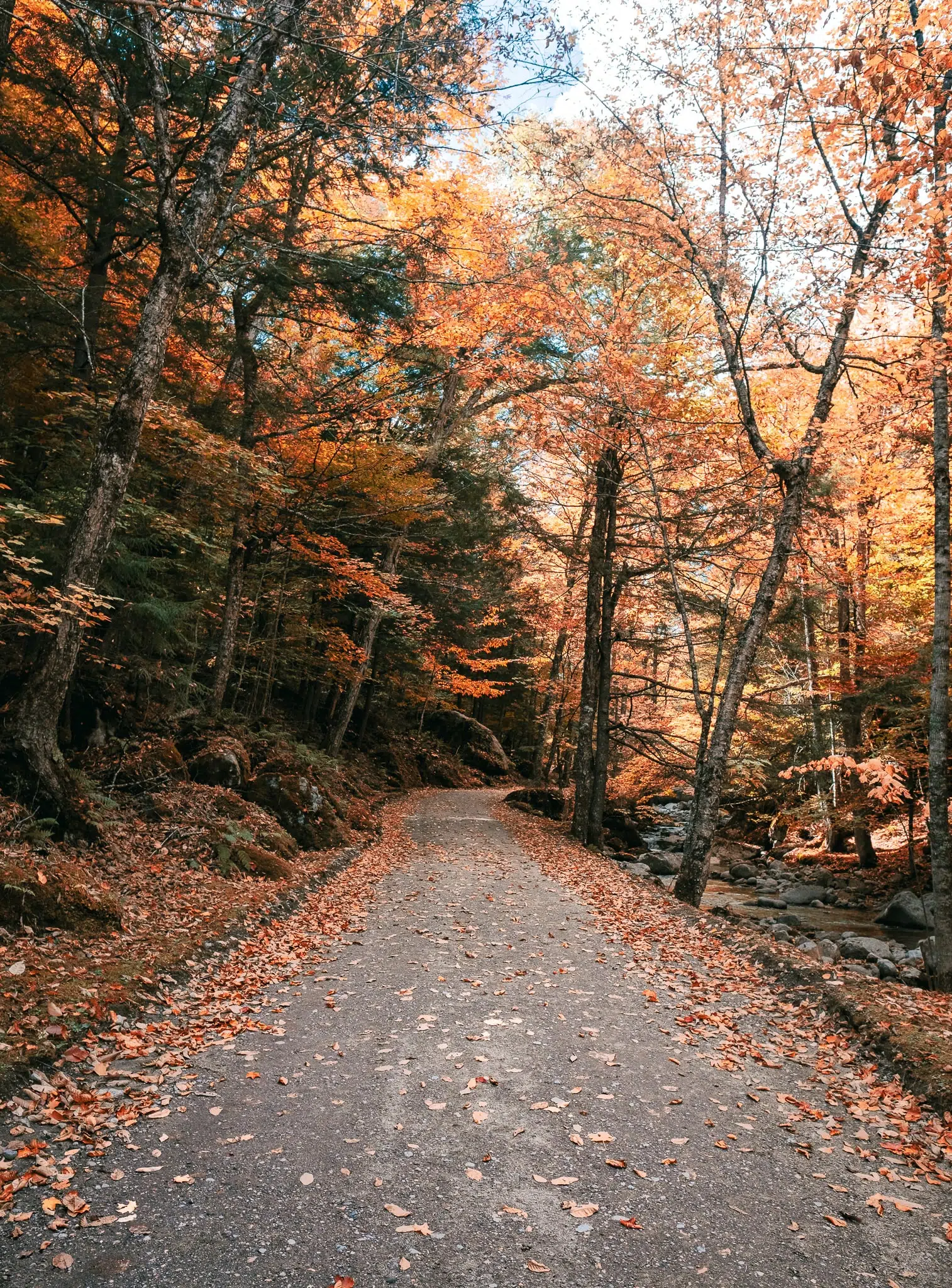Lake Road in the Adirondack Mountain Reserve, Upstate New York