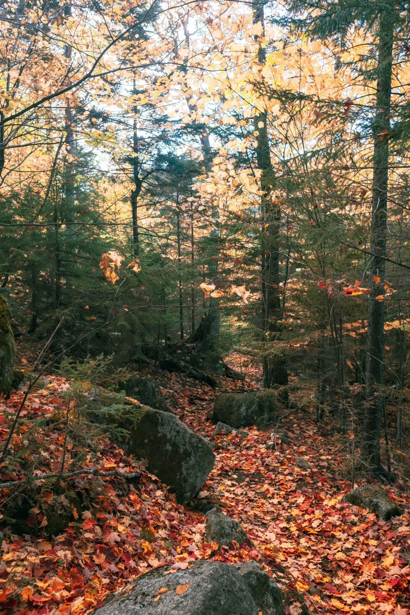 Hiking in the Adirondacks