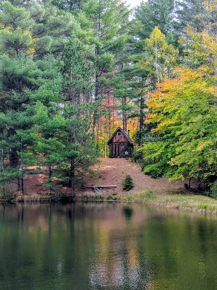 Adirondack Tiny Cabin