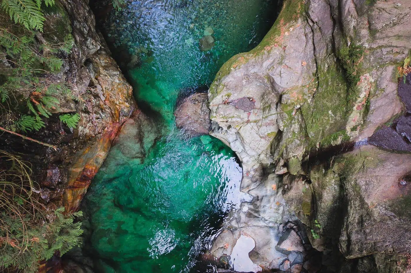 Lynn Canyon, Vancouver