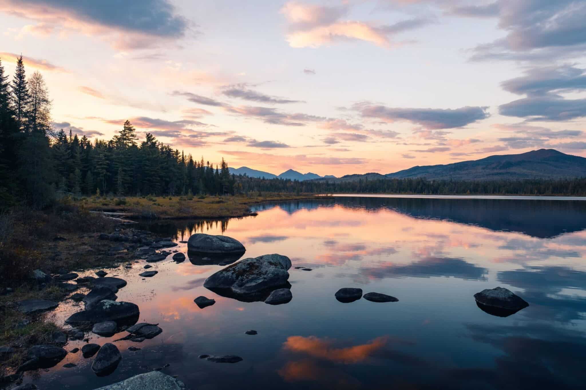 How to Survive Black Fly Season in the Adirondacks The Adventures Atlas