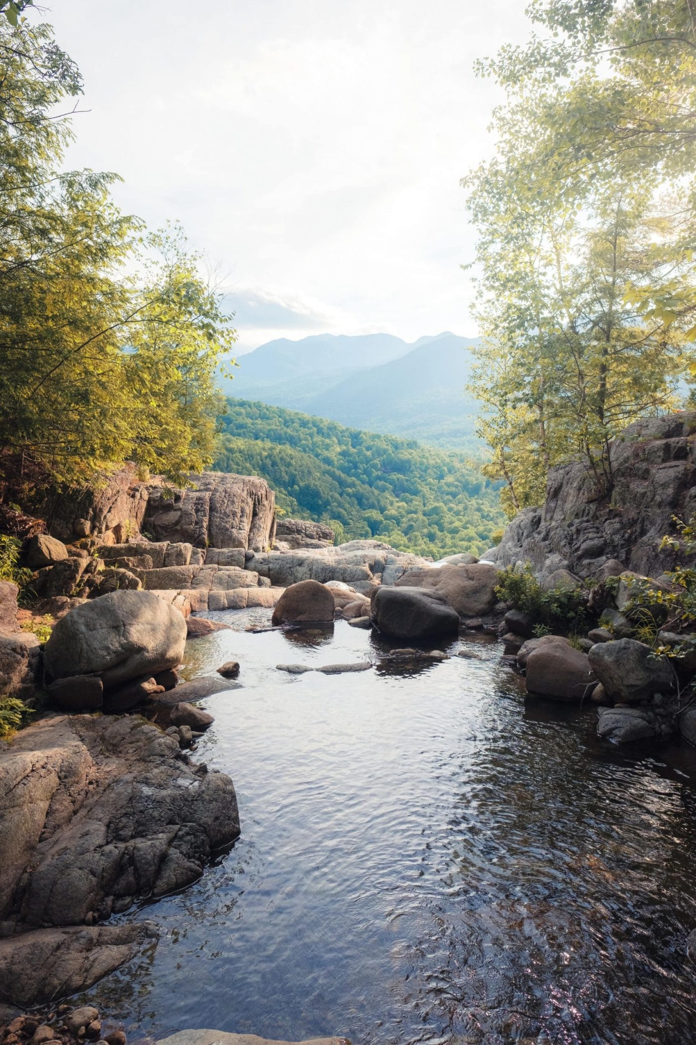 Great Flies of the Adirondacks