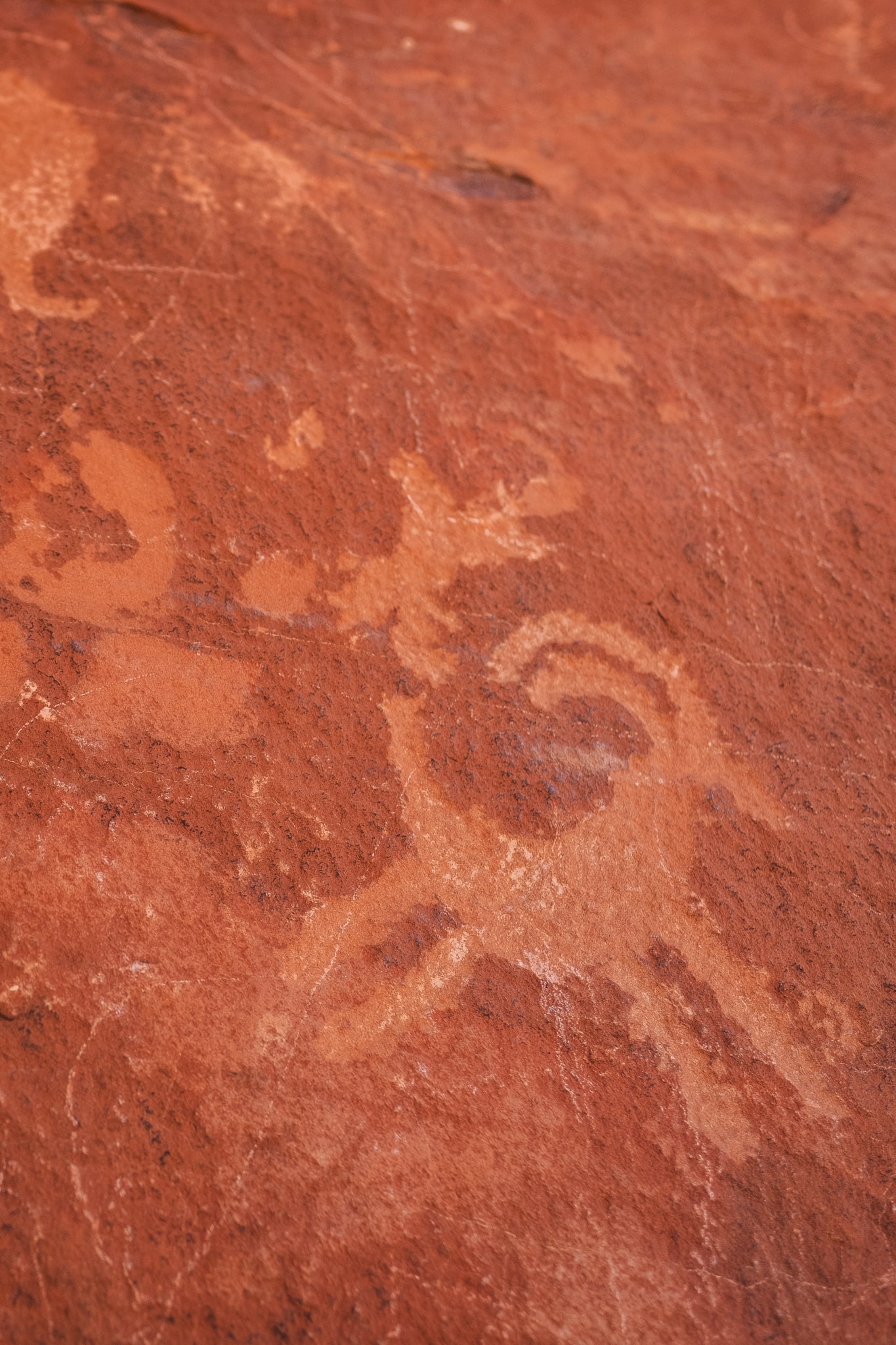 Close up of the ancient carvings at Atlatl Rock, Valley of Fire