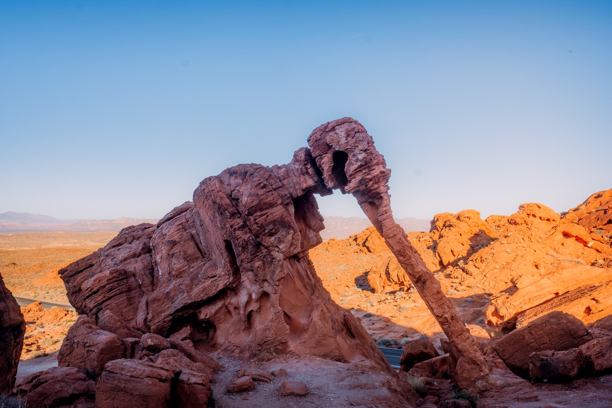 Elephant Rock at Sunset, Valley of Fire 