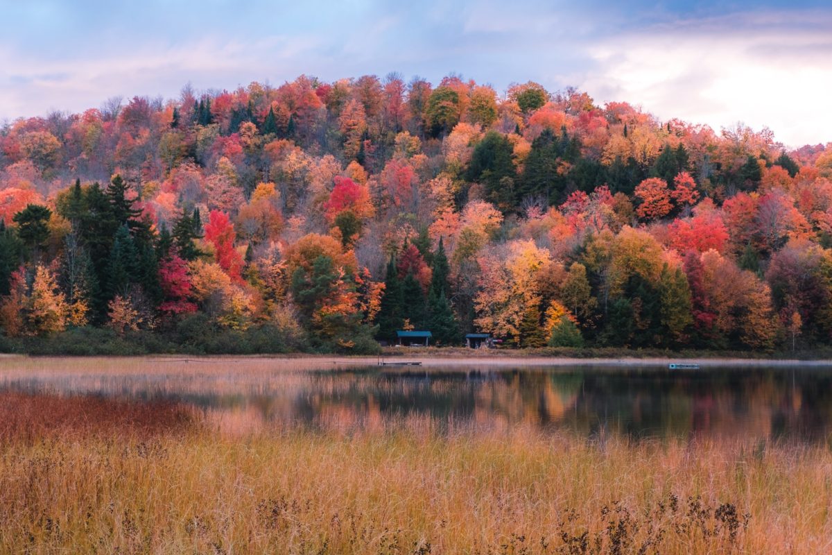 Where to See the Best Fall Foliage in New York The Adventures Atlas