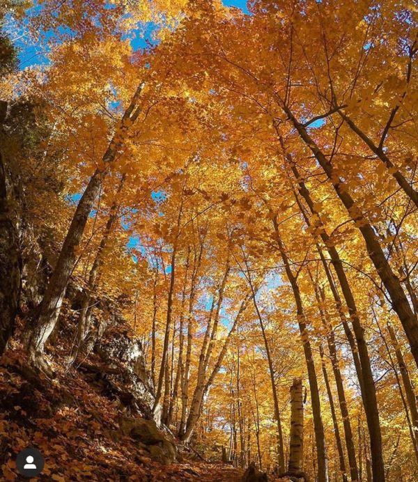 Where To See The Best Fall Foliage In New York | The Adventures Atlas