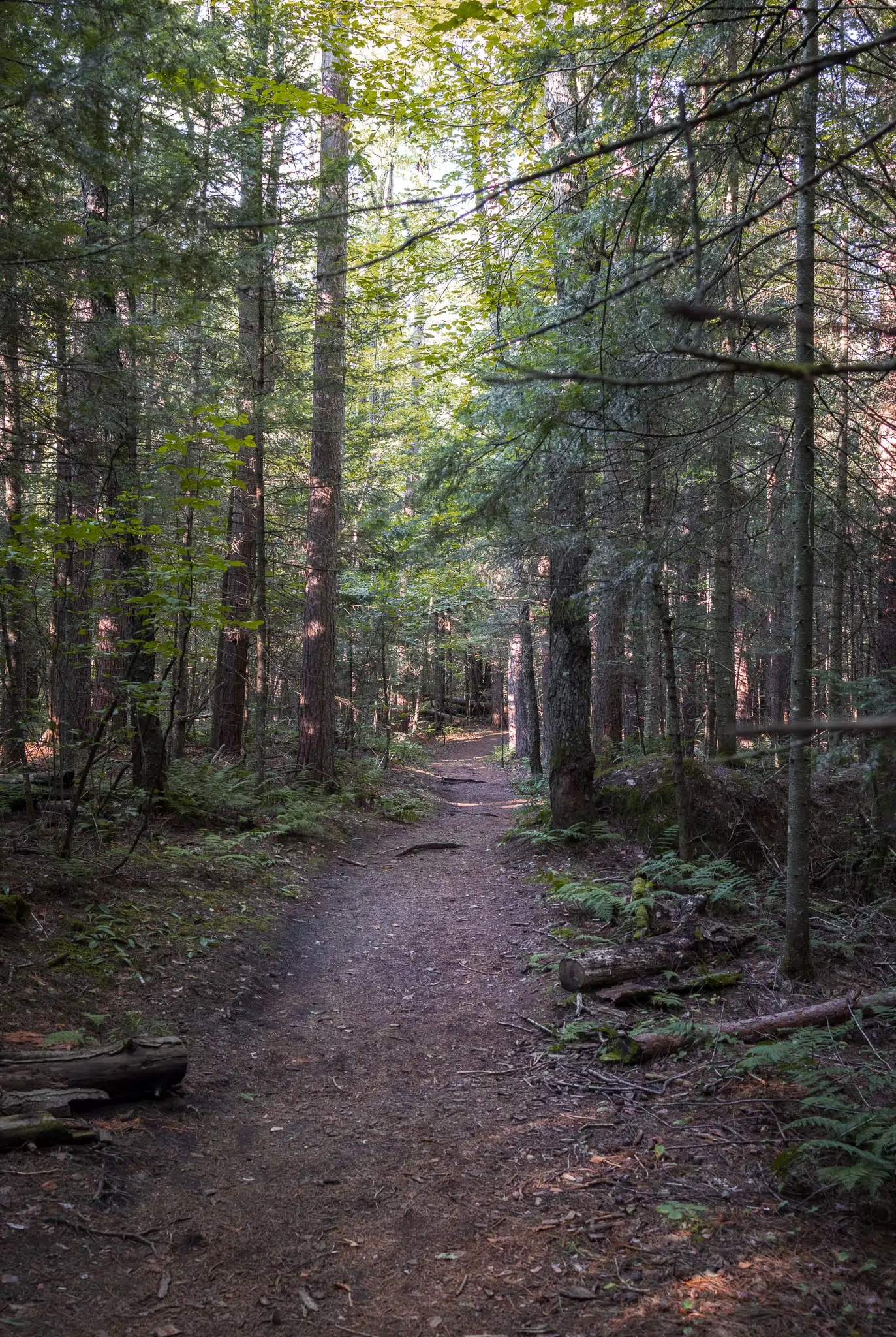Hiking Mount Van Hoevenberg