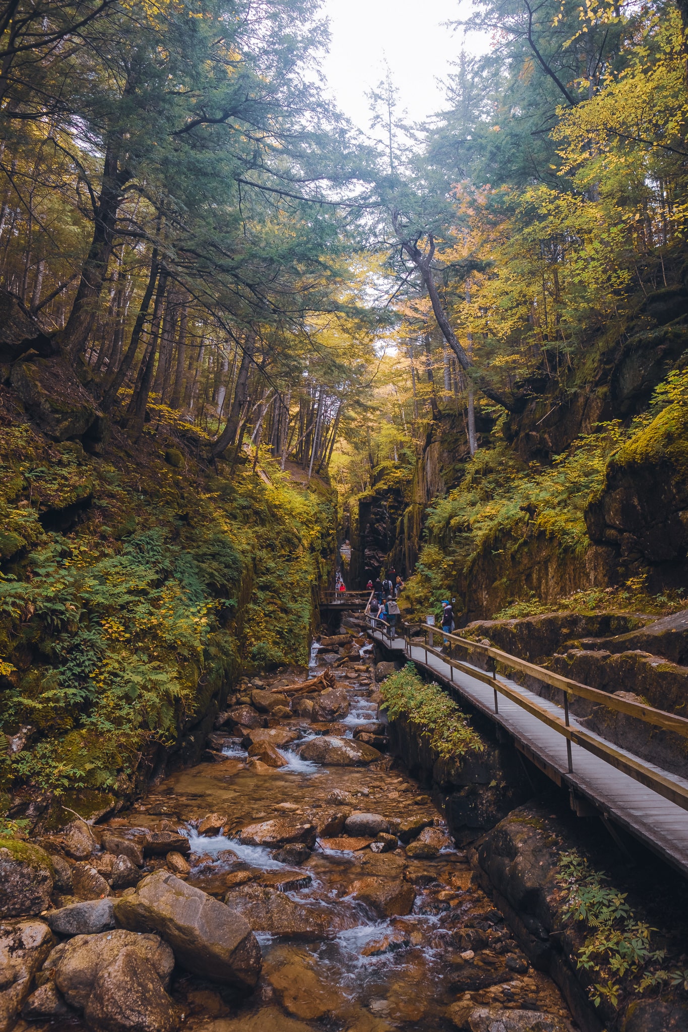 Flume Trail in Flume Gorge, New Hampshire