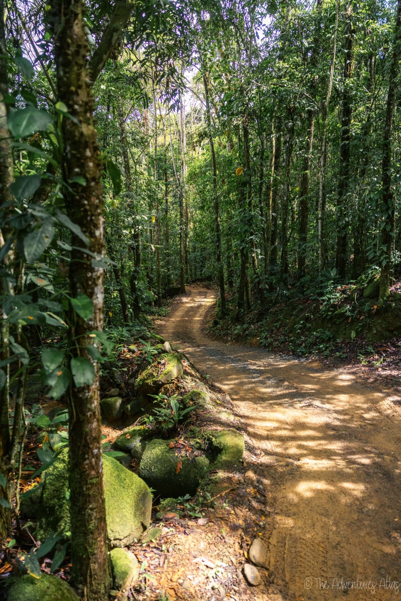 Road through the jungle in Costa Rica