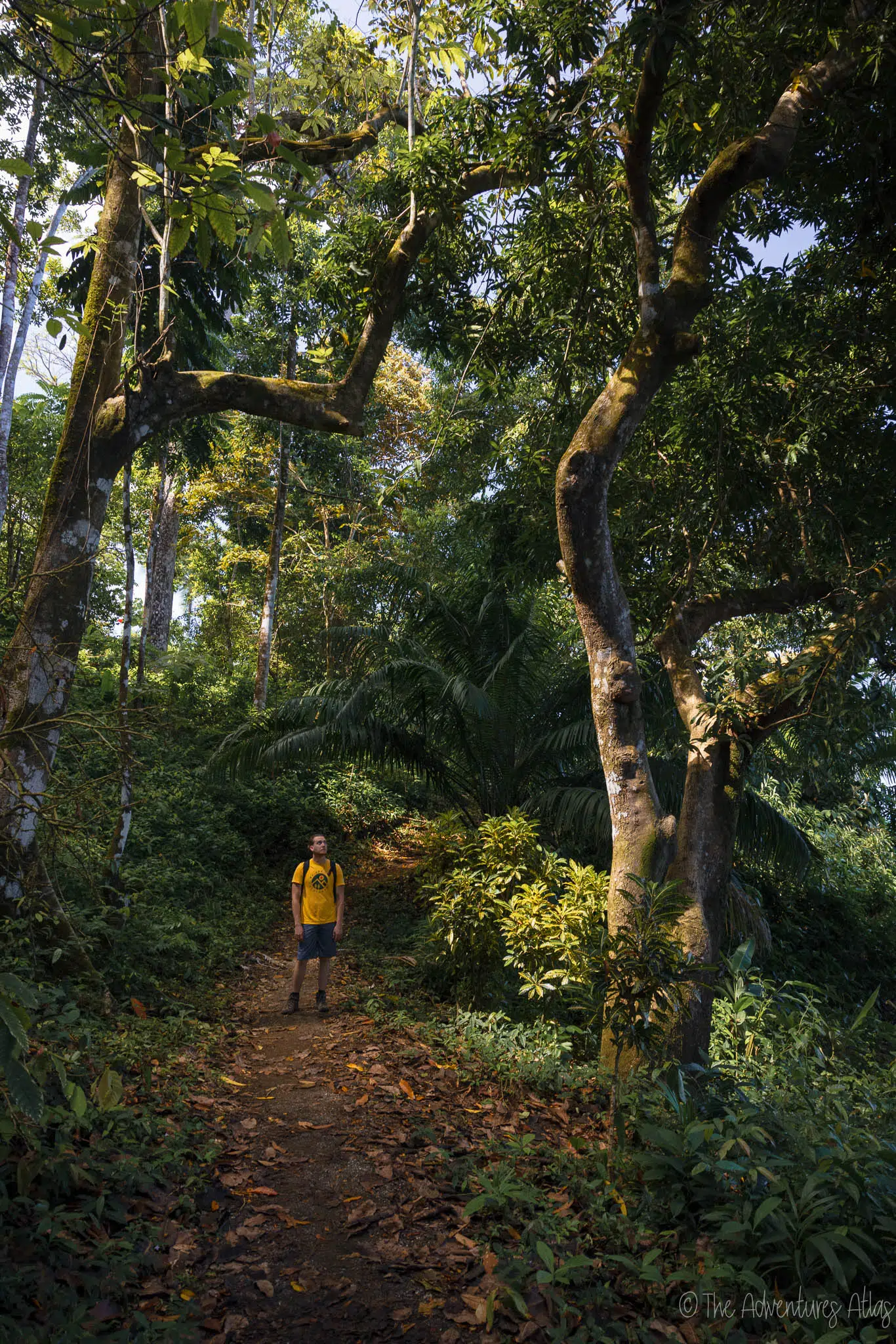 Hiking the Drake Bay Trail - one of the best things to do in Costa Rica and Drake Bay