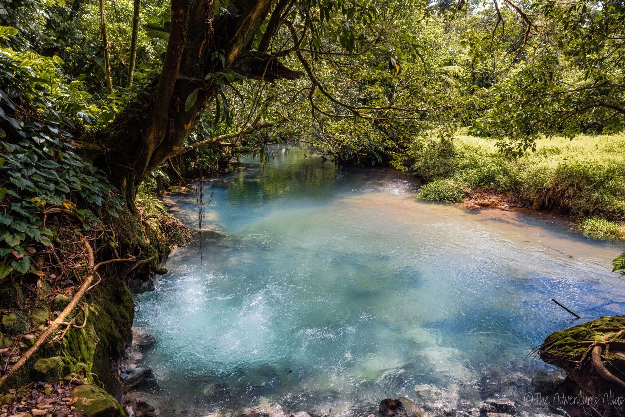 Boiling spring in Tenorio Volcano National Park