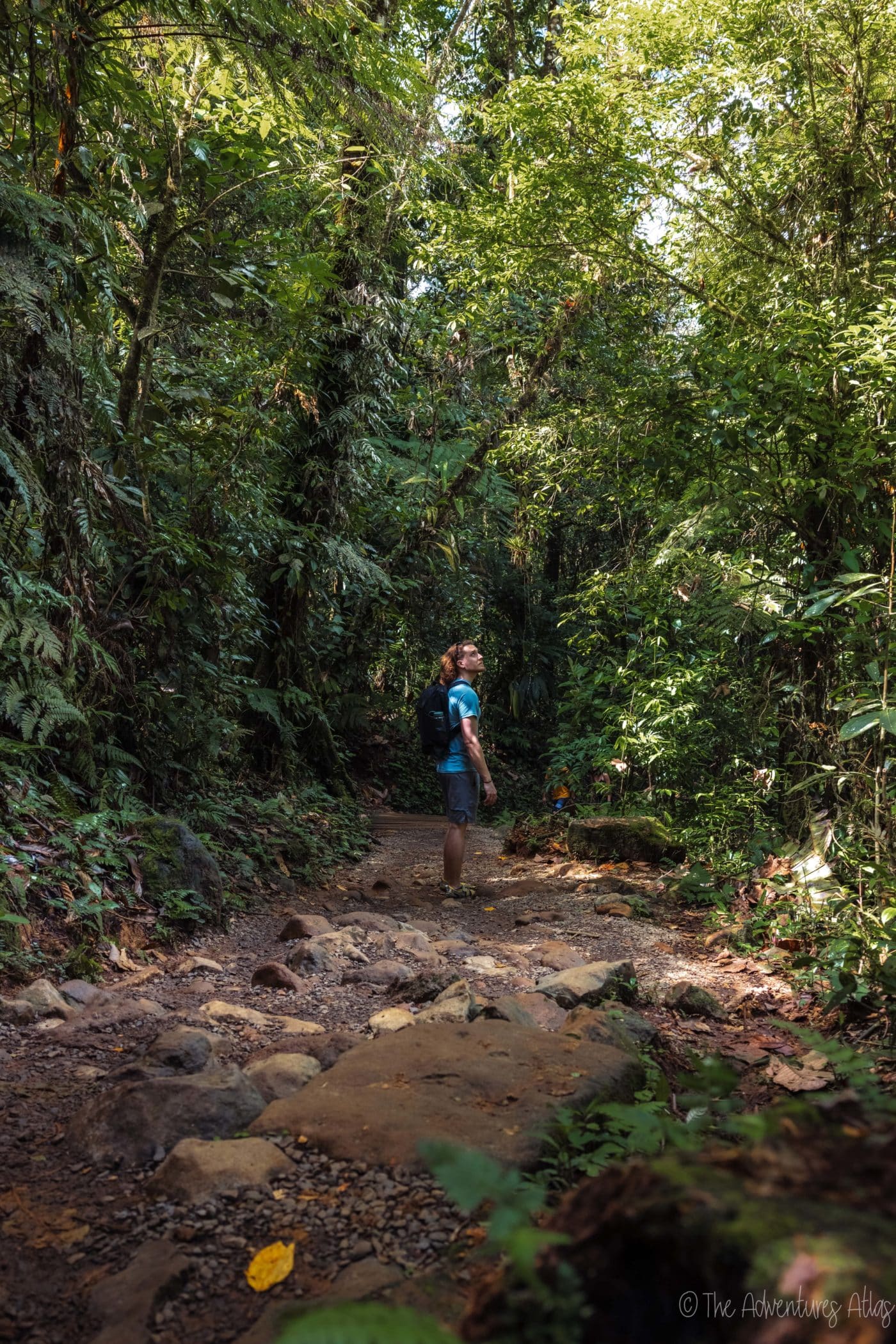 Hiking in the jungle in Costa Rica