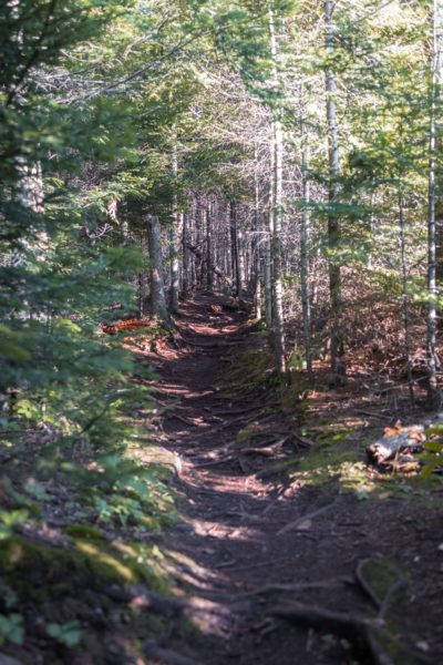 20 Bucket List Hikes in Upstate New York for Every Skill Level - The ...