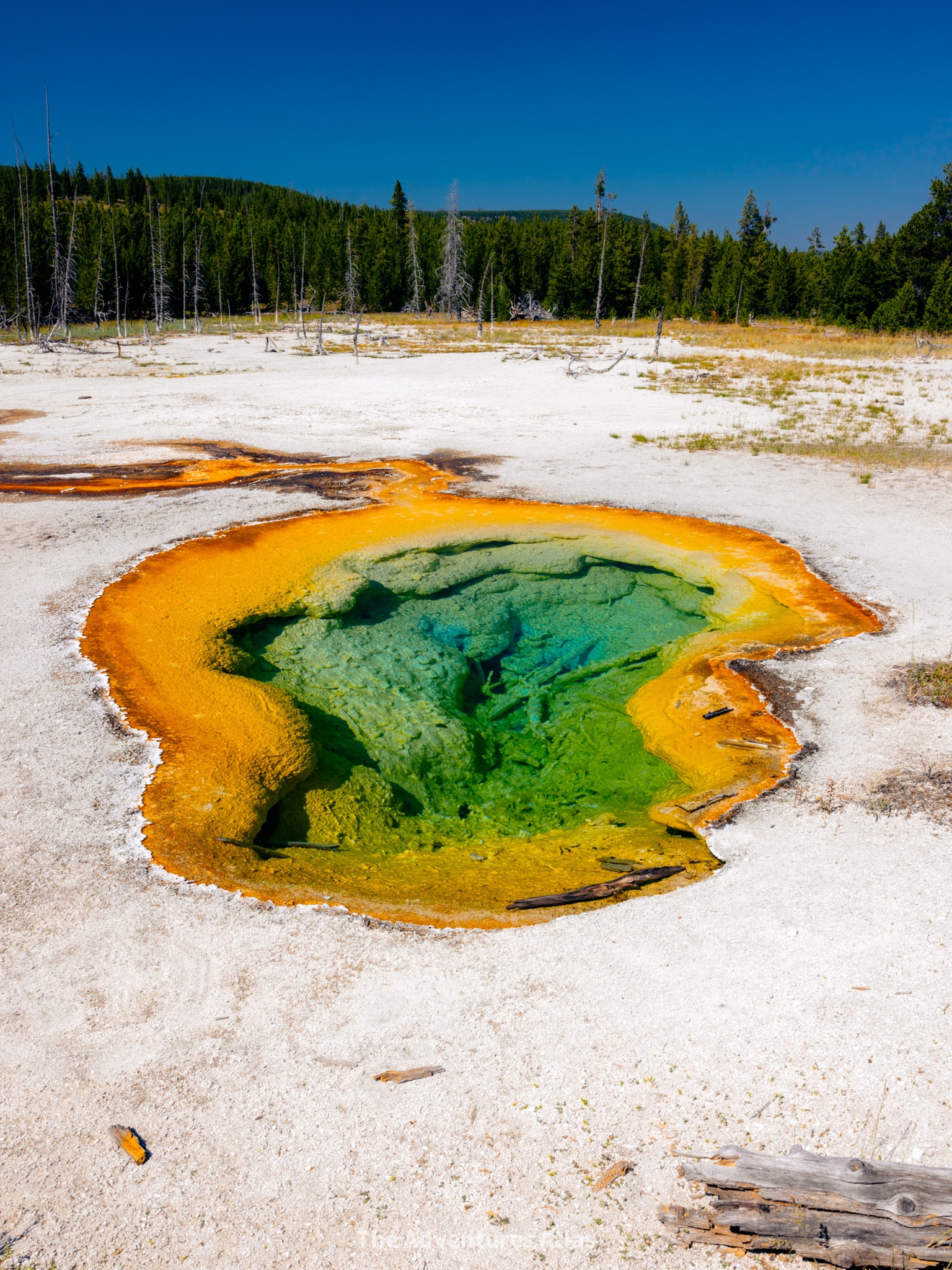 Colorful hot spring in Yellowstone National Park
