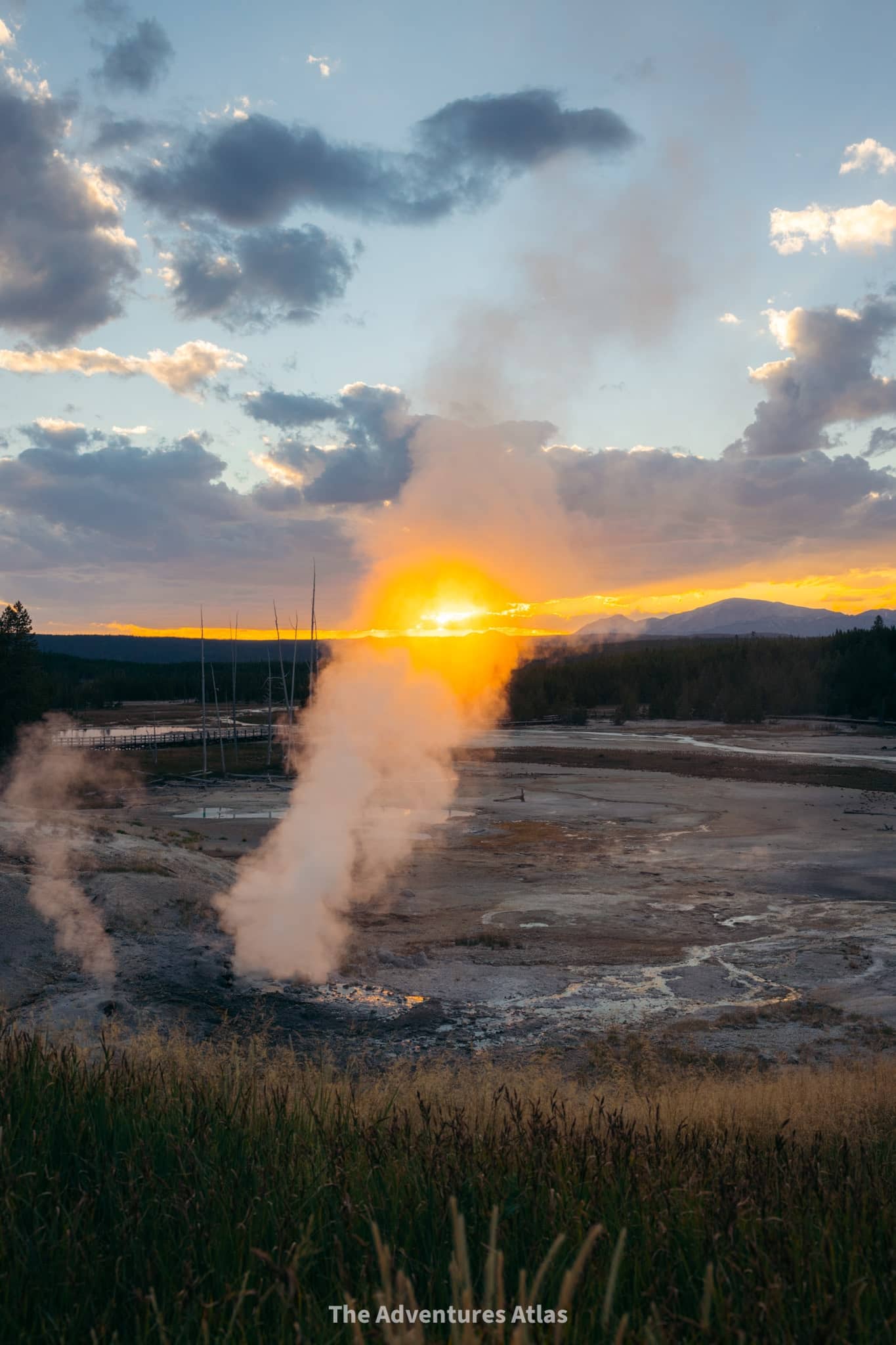 Steaming vent in Norris Geyser Basin