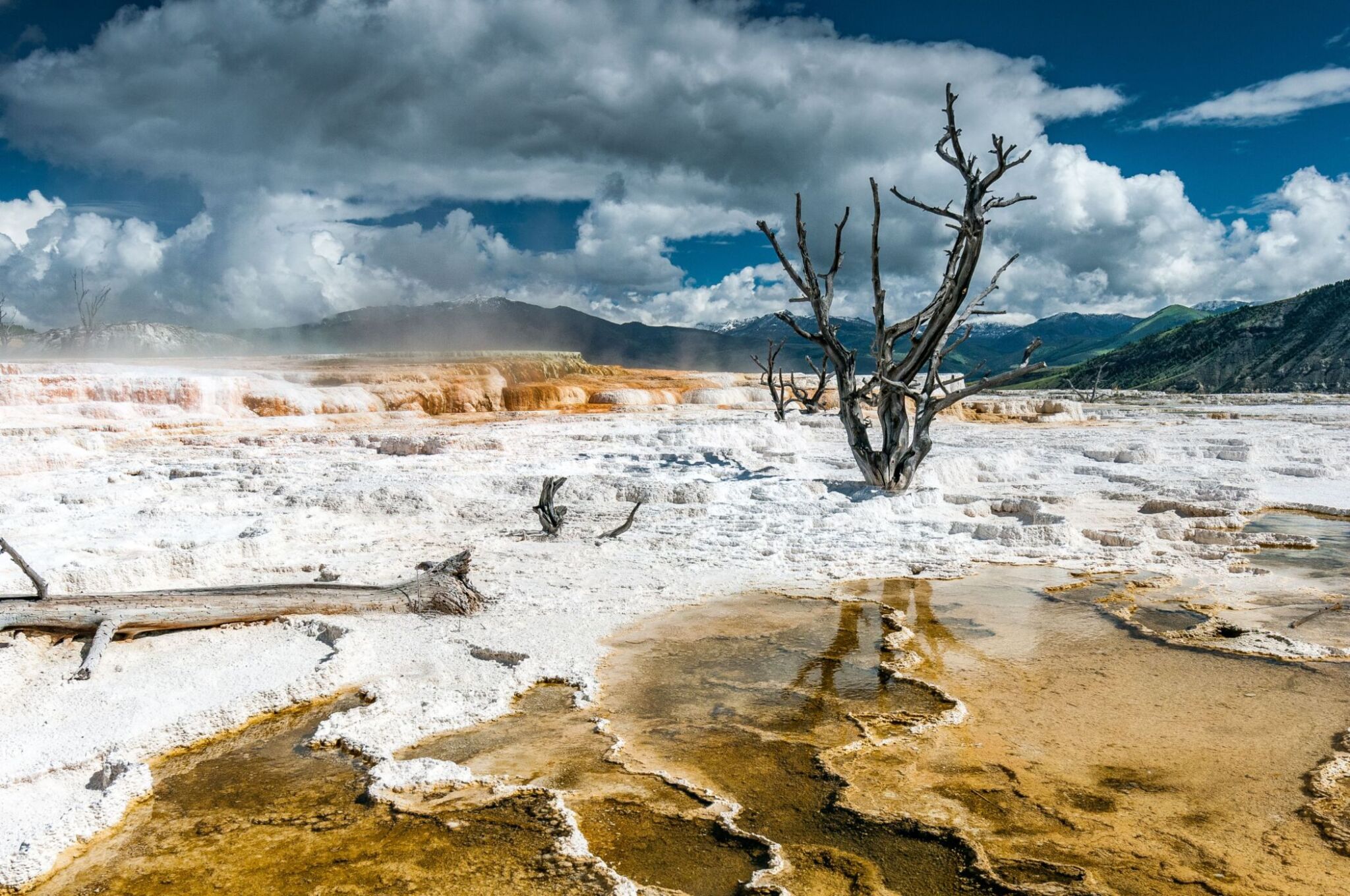 Mammoth Hot Springs, Yellowstone