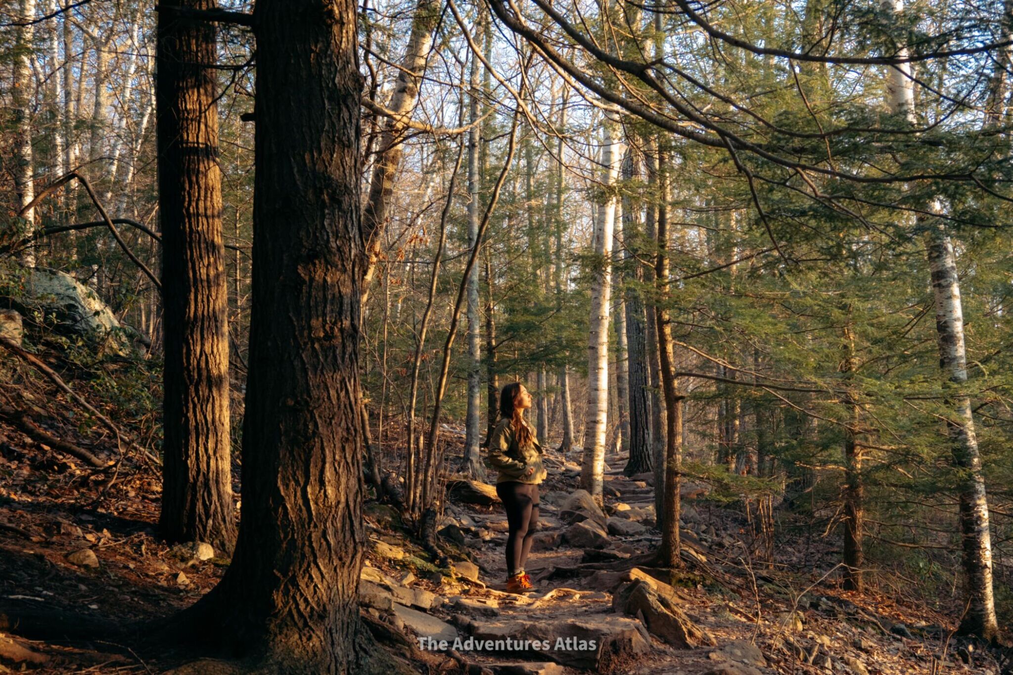 Hiking trail in Upstate New York