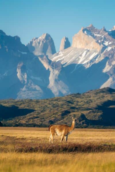 Airports Near Yellowstone National Park theadventuresatlas.com