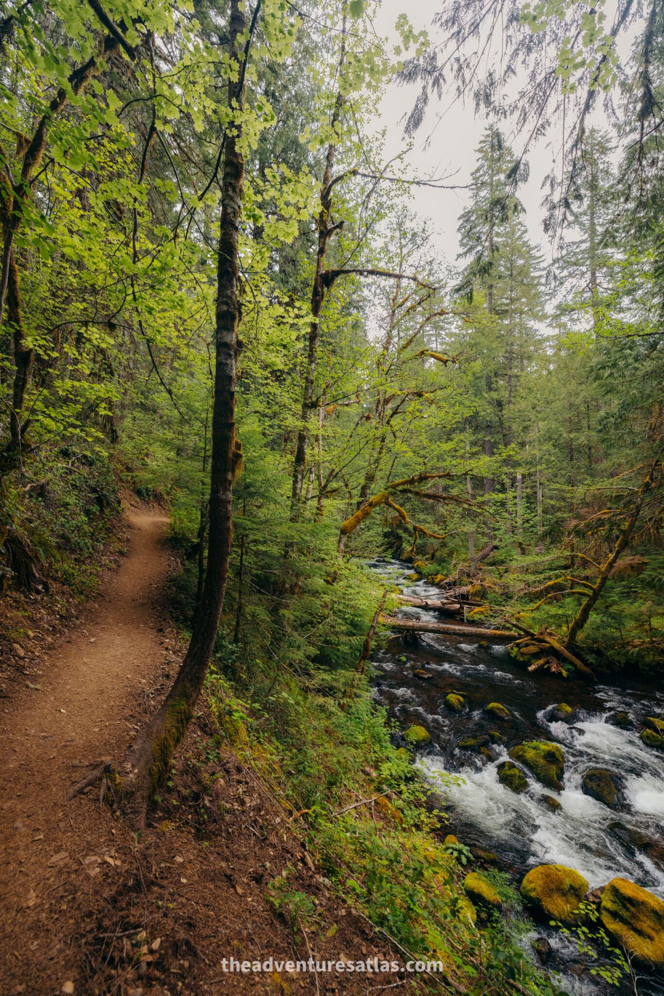 Hiking in Washington in July