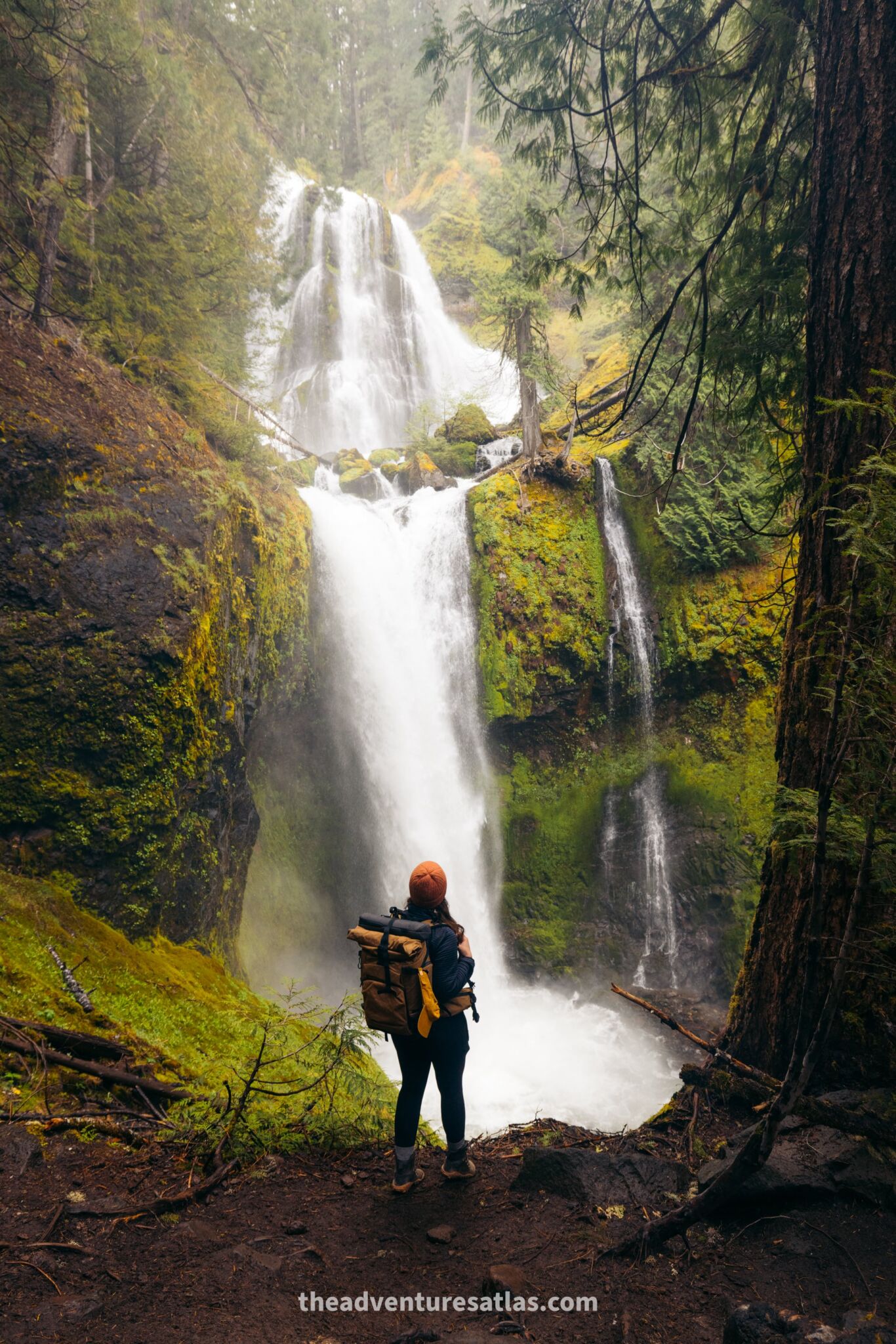 Falls Creek Falls in Gifford Pinchot National Forest in July USA