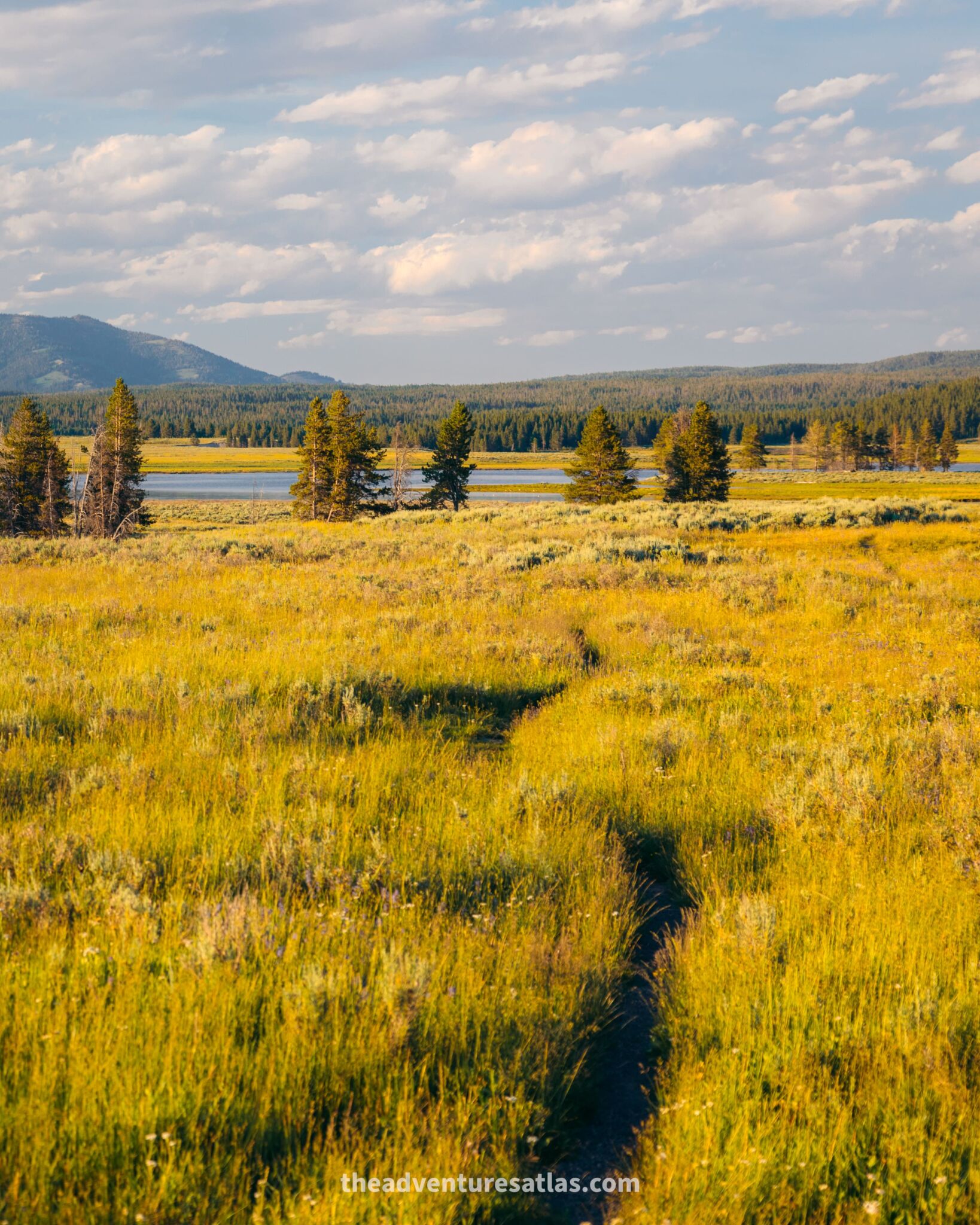 Yellowstone National Park is one of the best July destinations