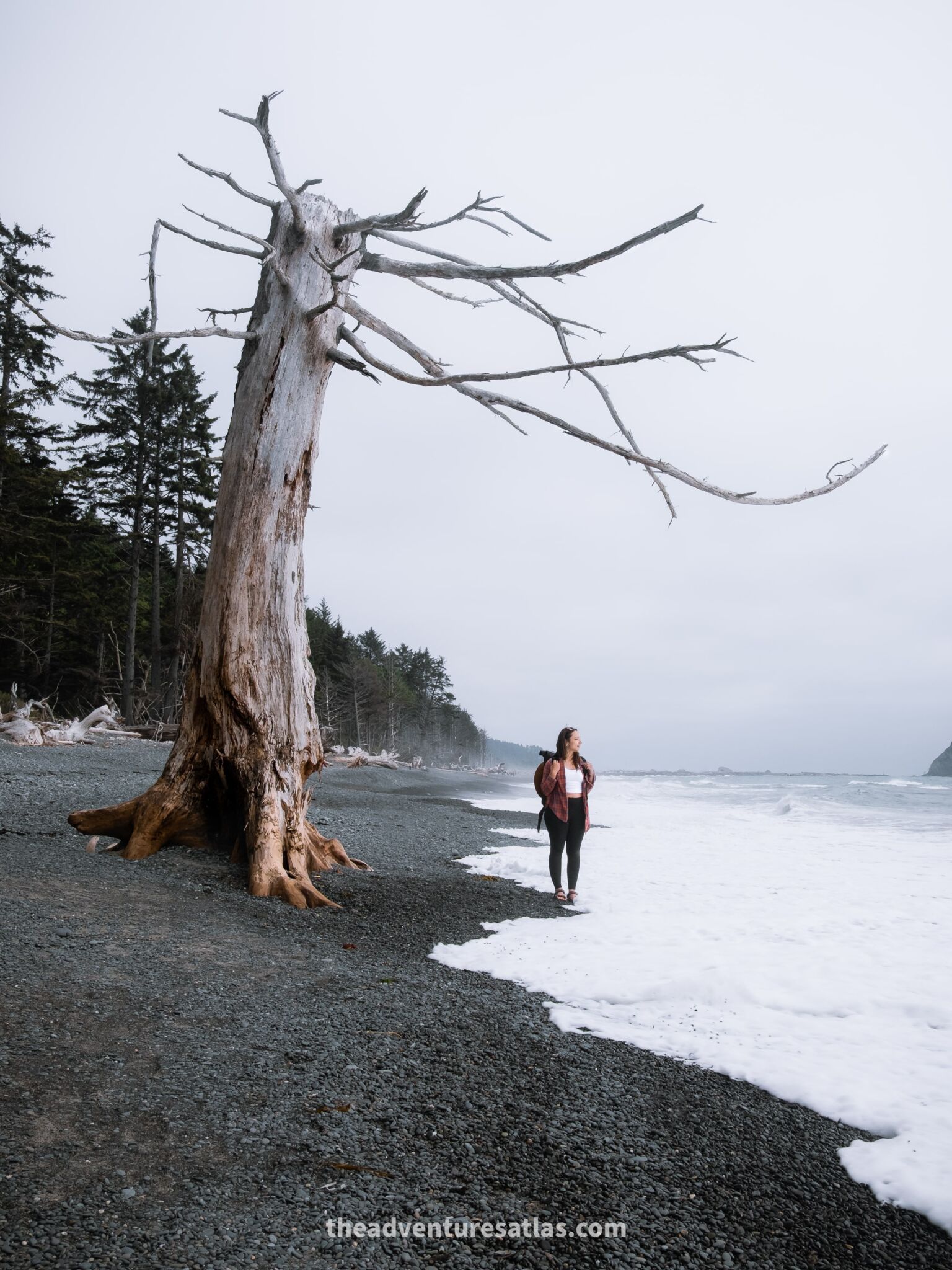 Beach on the Olympic Peninsula, Washington