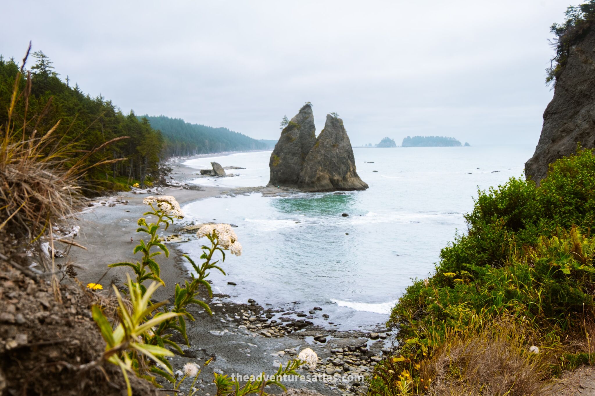 Ocean view in Olympic National Park in July