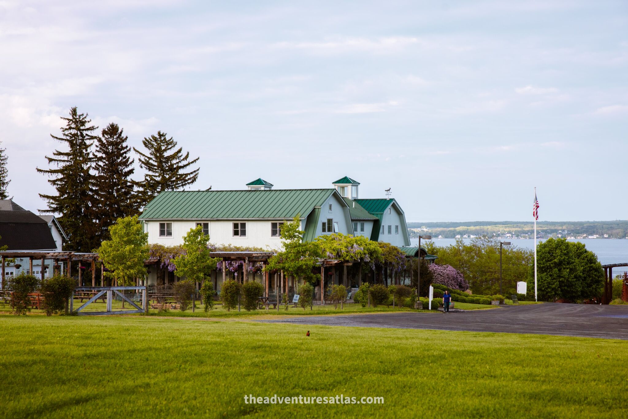 Wineries in the Finger Lakes in New York are a great destination in July in the United States