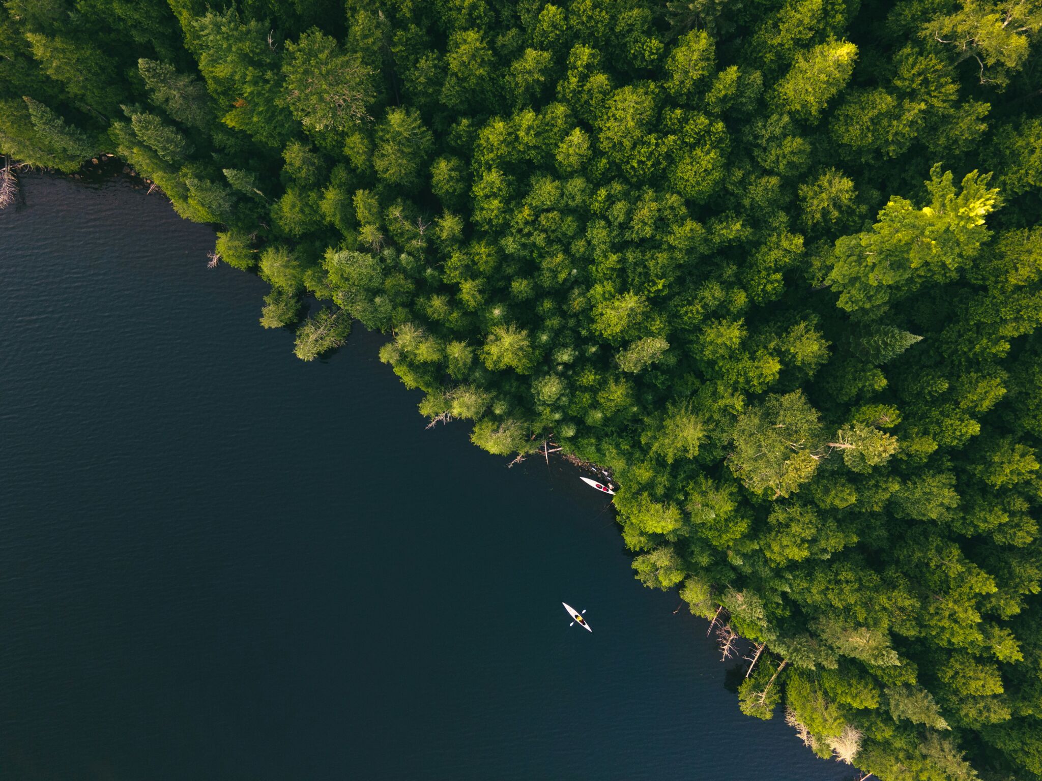 "Kayakers