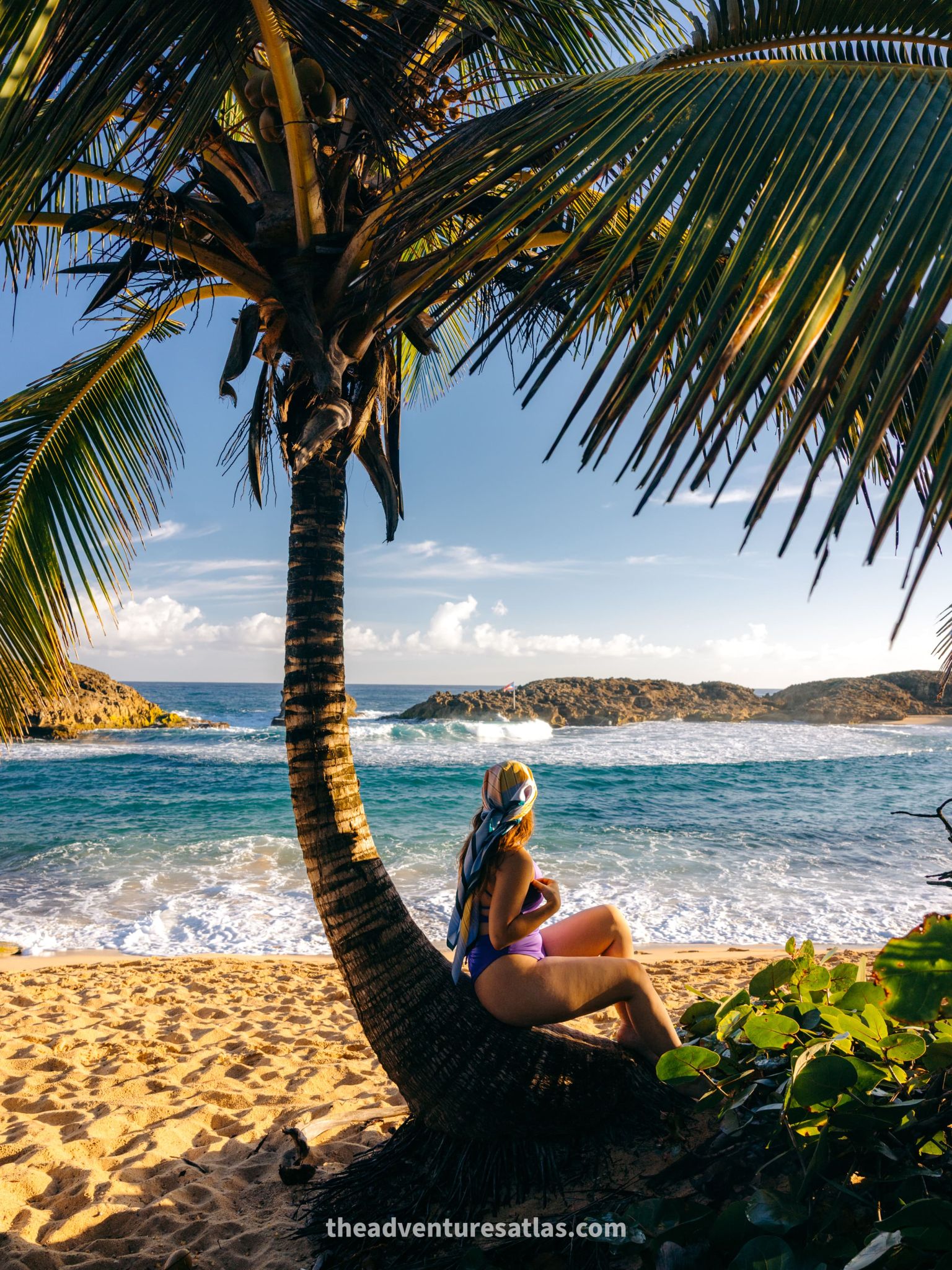 Girl next to a palm tree on a beach in Puerto Rico on a 3 day Puerto Rico road trip