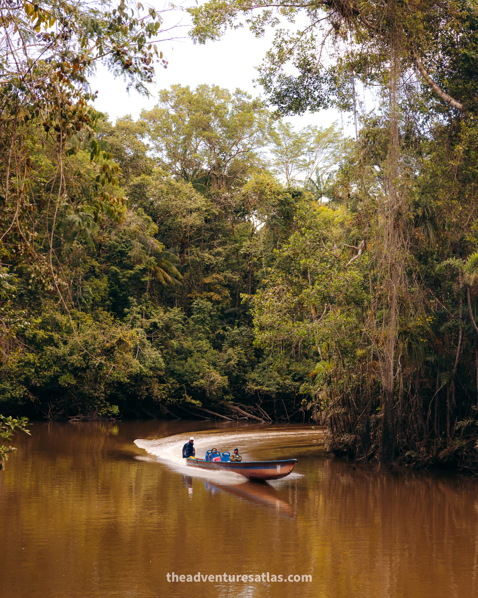A motorized canoe on the river in the Ecuadorian Amazon rainforest