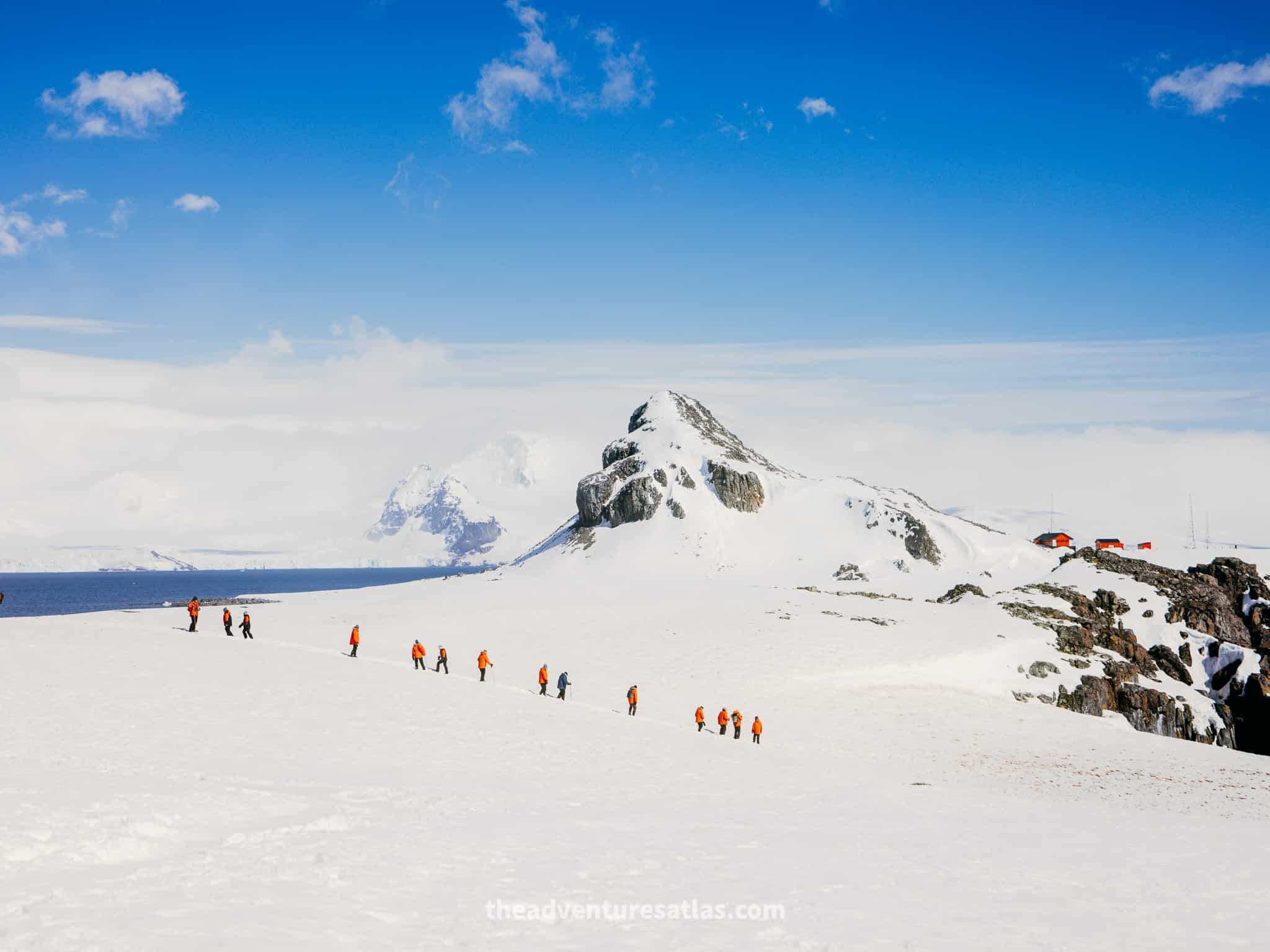 People hiking in Antarctica on a sunny day wearing orange parkas