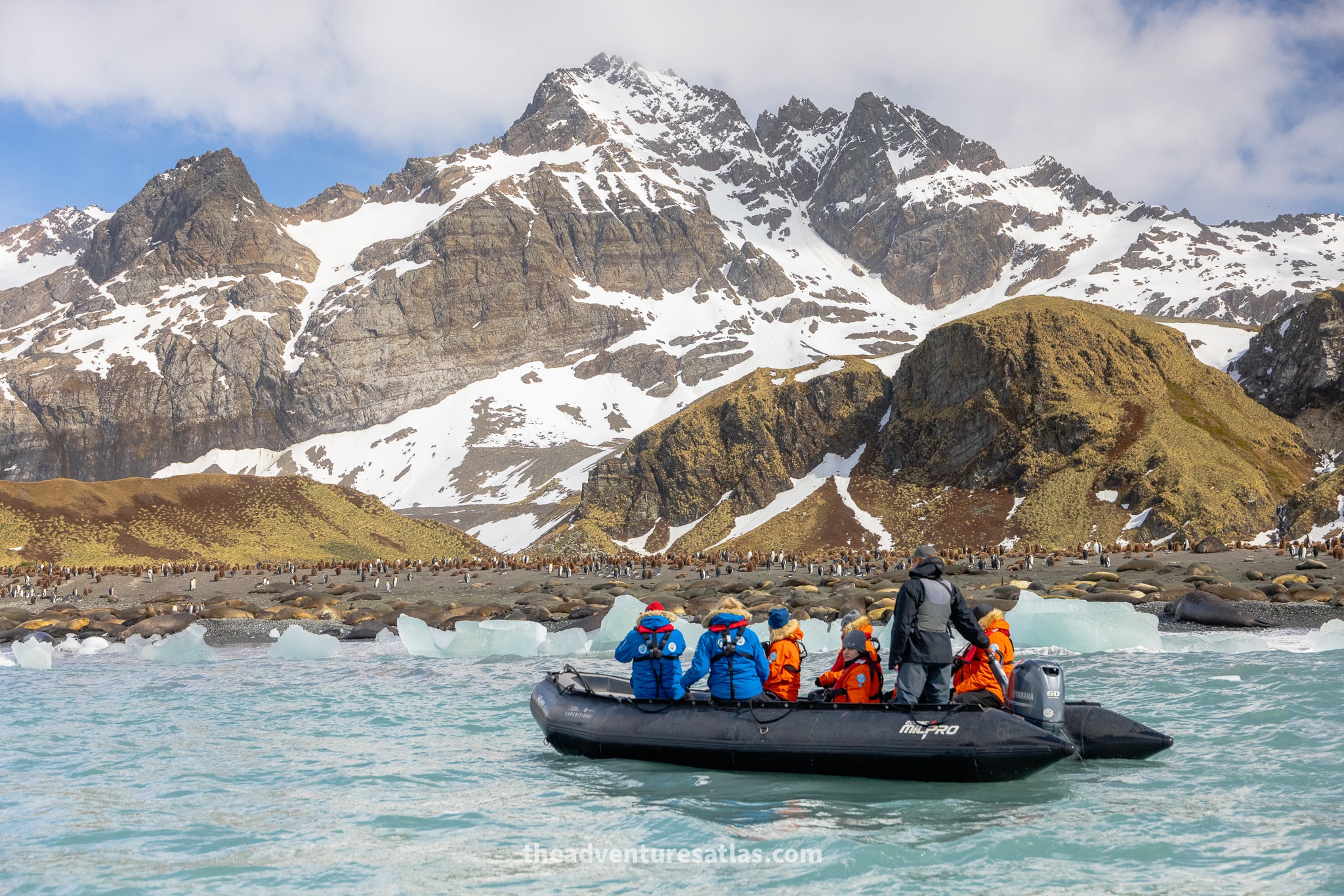 A Zodiac boat full of passengers in parkas cruising past a beach full of king penguins and elephant seals in South Georgia
