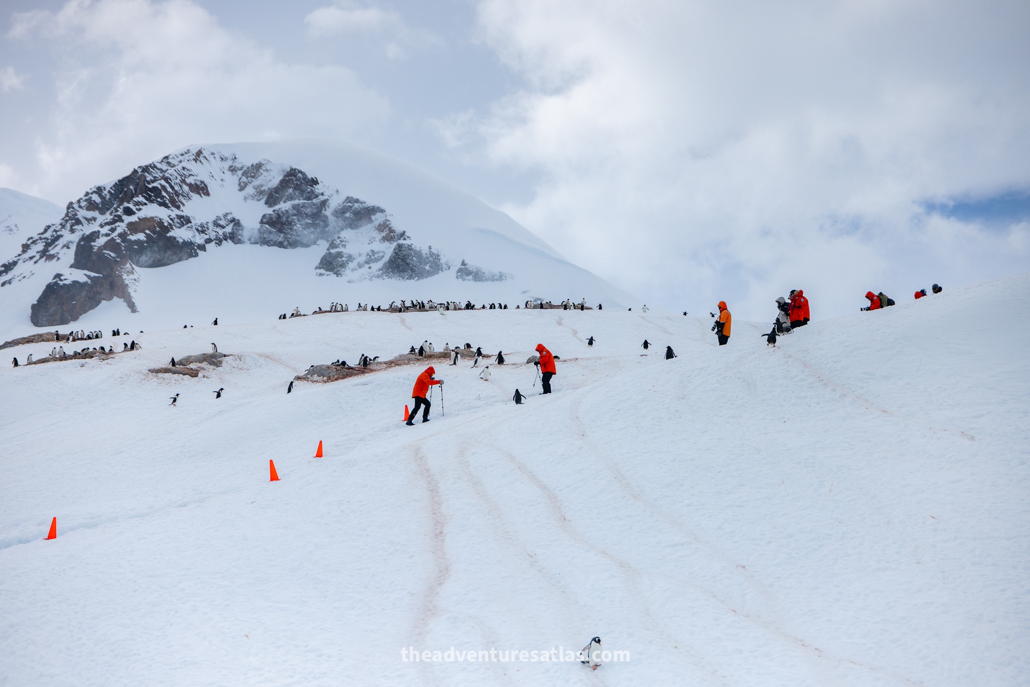 Passengers in orange parkas hiking in the snow using walking sticks in Antarctica