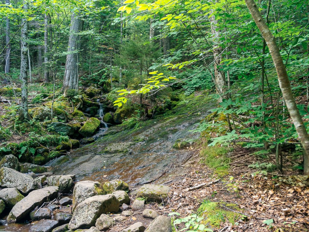 A rugged hiking trail up Cascade Mountain in New York State