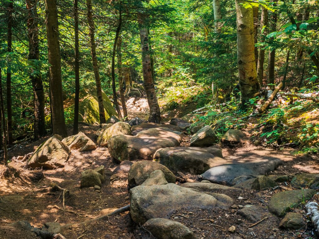 The hiking trail up Cascade Mountain in the High Peaks of the Adirondacks